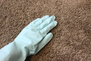 フロア・店舗向けカーペット清掃ガイド｜美観・衛生・寿命を守る方法