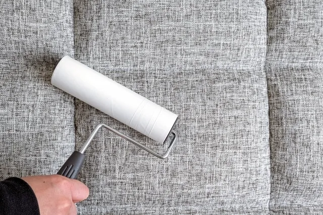 白色のカーペットクリーナーでソファを清掃している