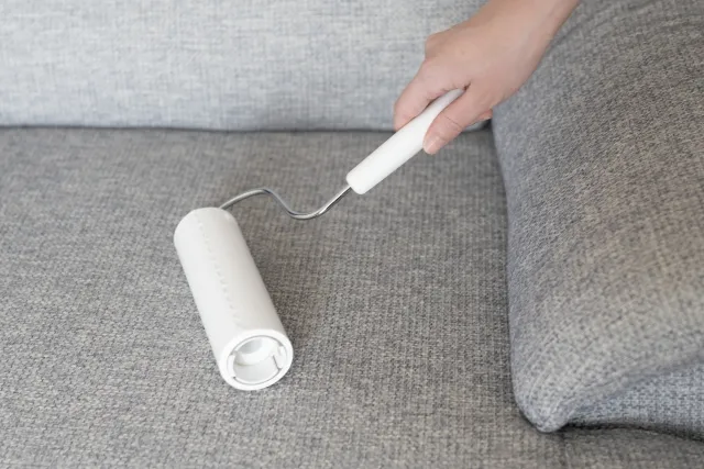 白色のカーペットクリーナーでソファのゴミを取っている様子